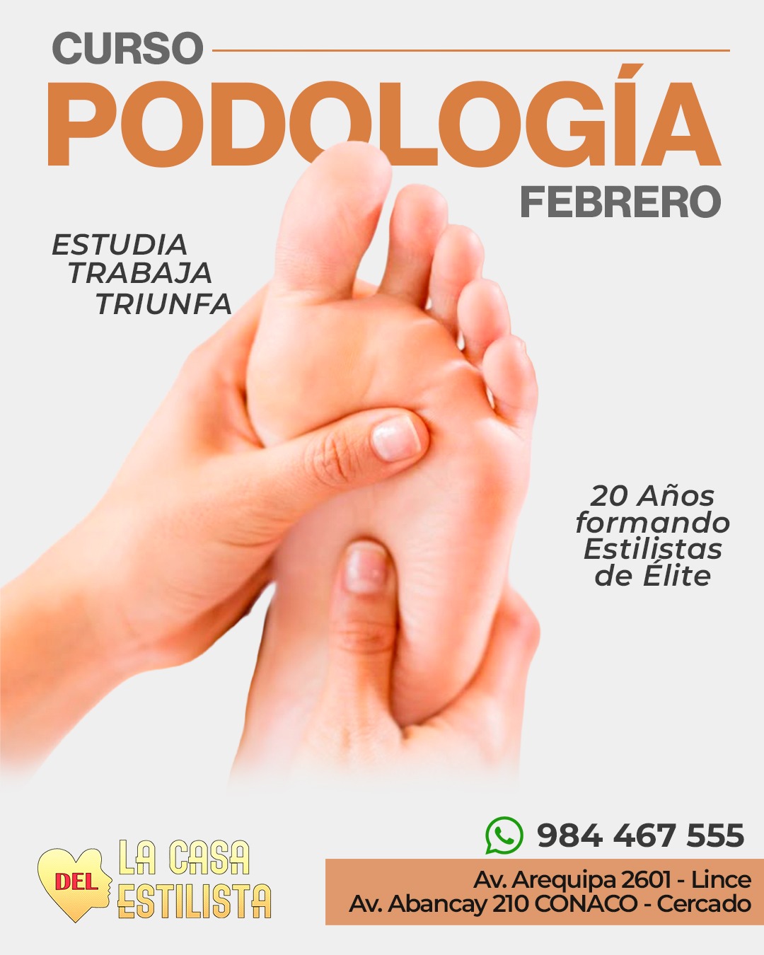 feb-curso-11