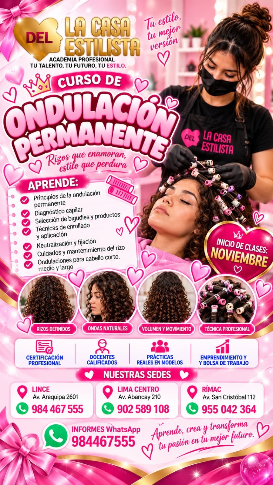 curso-nov-11